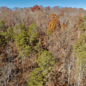 Photo #21 of Off Leesville Lake Drive, Pittsville, VA 5.6 acres