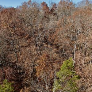 Photo #22 of Off Leesville Lake Drive, Pittsville, VA 5.6 acres