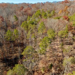 Photo #24 of Off Leesville Lake Drive, Pittsville, VA 5.6 acres
