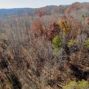 Photo #25 of Off Leesville Lake Drive, Pittsville, VA 5.6 acres