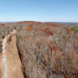 Photo #16 of Off Leesville Lake Drive, Pittsville, VA 5.6 acres