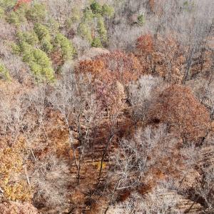 Photo #17 of Off Leesville Lake Drive, Pittsville, VA 5.6 acres