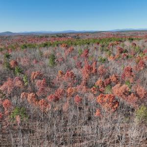 Photo #2 of Off Lemon Ridge Lane, Appomattox, VA 9.2 acres