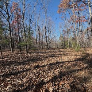 Photo #3 of Off Lemon Ridge Lane, Appomattox, VA 9.2 acres