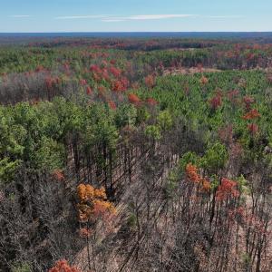 Photo #5 of Off Lemon Ridge Lane, Appomattox, VA 9.2 acres