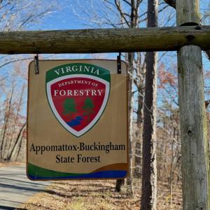 Photo #6 of Off Lemon Ridge Lane, Appomattox, VA 9.2 acres