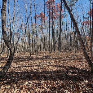 Photo #7 of Off Lemon Ridge Lane, Appomattox, VA 9.2 acres