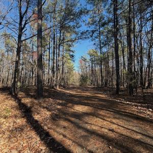 Photo #24 of Off Lemon Ridge Lane, Appomattox, VA 9.2 acres