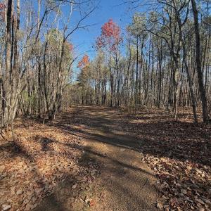 Photo #25 of Off Lemon Ridge Lane, Appomattox, VA 9.2 acres