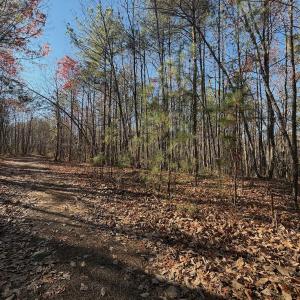 Photo #26 of Off Lemon Ridge Lane, Appomattox, VA 9.2 acres
