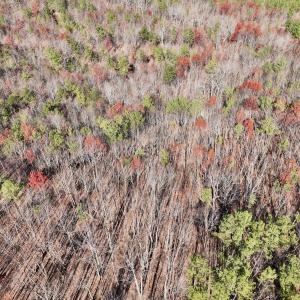 Photo #32 of Off Lemon Ridge Lane, Appomattox, VA 9.2 acres