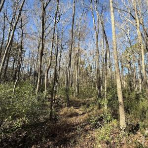 Photo #9 of Off NC HWY 902, Pittsboro, NC 8.3 acres