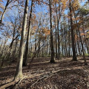 Photo #10 of Off NC HWY 902, Pittsboro, NC 8.3 acres