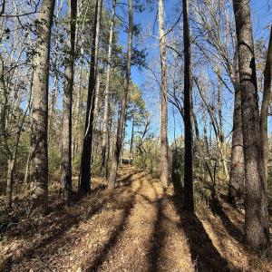 Photo #11 of Off NC HWY 902, Pittsboro, NC 8.3 acres