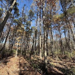 Photo #12 of Off NC HWY 902, Pittsboro, NC 8.3 acres