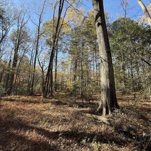 Photo #16 of Off NC HWY 902, Pittsboro, NC 8.3 acres