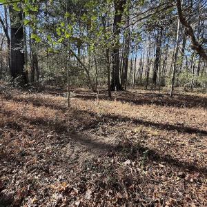 Photo #19 of Off NC HWY 902, Pittsboro, NC 8.3 acres