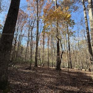 Photo #20 of Off NC HWY 902, Pittsboro, NC 8.3 acres