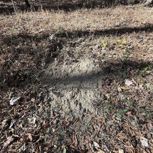 Photo #24 of Off NC HWY 902, Pittsboro, NC 8.3 acres