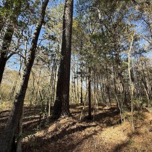 Photo #26 of Off NC HWY 902, Pittsboro, NC 8.3 acres