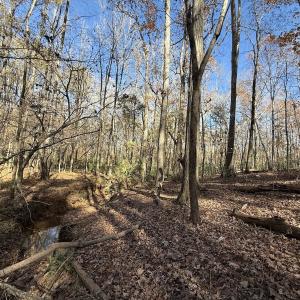 Photo #2 of Off NC HWY 902, Pittsboro, NC 8.3 acres