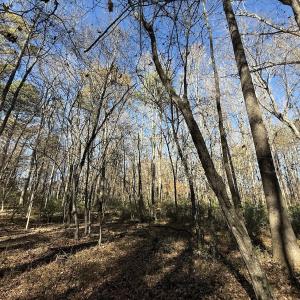 Photo #29 of Off NC HWY 902, Pittsboro, NC 8.3 acres