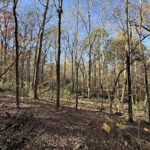 Photo #30 of Off NC HWY 902, Pittsboro, NC 8.3 acres
