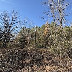 Photo #31 of Off NC HWY 902, Pittsboro, NC 8.3 acres