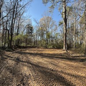 Photo #38 of Off NC HWY 902, Pittsboro, NC 8.3 acres