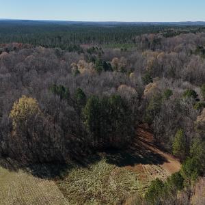 Photo #40 of Off NC HWY 902, Pittsboro, NC 8.3 acres
