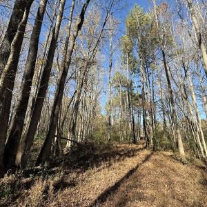 Photo #5 of Off NC HWY 902, Pittsboro, NC 8.3 acres