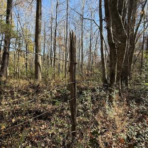 Photo #6 of Off NC HWY 902, Pittsboro, NC 8.3 acres