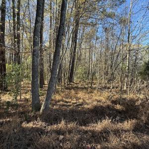 Photo #41 of Off NC HWY 902, Pittsboro, NC 8.3 acres