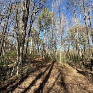 Photo #42 of Off NC HWY 902, Pittsboro, NC 8.3 acres