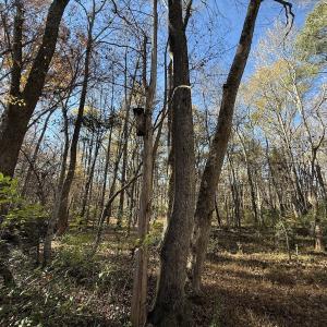 Photo #43 of Off NC HWY 902, Pittsboro, NC 8.3 acres