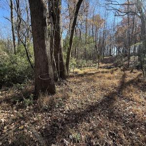 Photo #44 of Off NC HWY 902, Pittsboro, NC 8.3 acres
