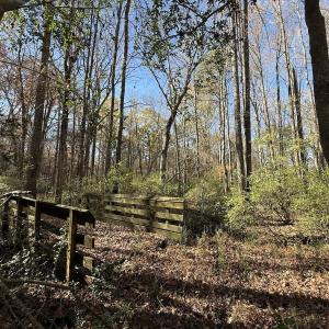 Photo #45 of Off NC HWY 902, Pittsboro, NC 8.3 acres