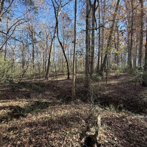 Photo #46 of Off NC HWY 902, Pittsboro, NC 8.3 acres