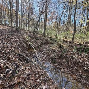 Photo #47 of Off NC HWY 902, Pittsboro, NC 8.3 acres