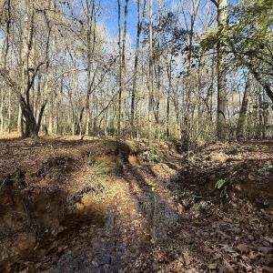 Photo #48 of Off NC HWY 902, Pittsboro, NC 8.3 acres