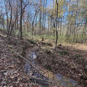 Photo #49 of Off NC HWY 902, Pittsboro, NC 8.3 acres