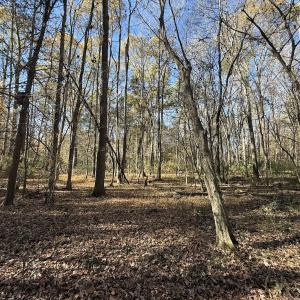 Photo #50 of Off NC HWY 902, Pittsboro, NC 8.3 acres