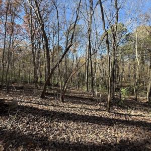 Photo #51 of Off NC HWY 902, Pittsboro, NC 8.3 acres