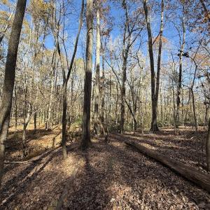 Photo #52 of Off NC HWY 902, Pittsboro, NC 8.3 acres