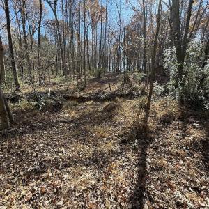 Photo #53 of Off NC HWY 902, Pittsboro, NC 8.3 acres