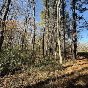 Photo #54 of Off NC HWY 902, Pittsboro, NC 8.3 acres