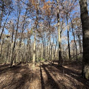 Photo #57 of Off NC HWY 902, Pittsboro, NC 8.3 acres