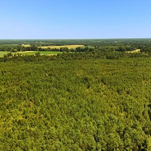 Photo #14 of Off Lagrange Rd, La Grange, NC 86.7 acres