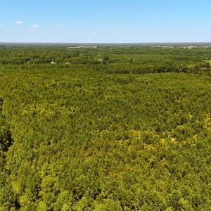 Photo #15 of Off Lagrange Rd, La Grange, NC 86.7 acres