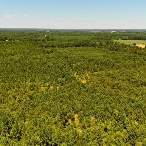 Photo #16 of Off Lagrange Rd, La Grange, NC 86.7 acres